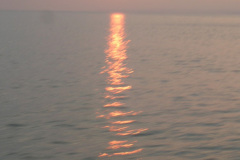 Yverdon_064