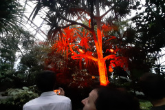20240910_194933_Masoala_Hall_rainforest