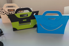 20250903_102621_iarigai_IC_conference_keynote_Jana_Slovakova_print_samples